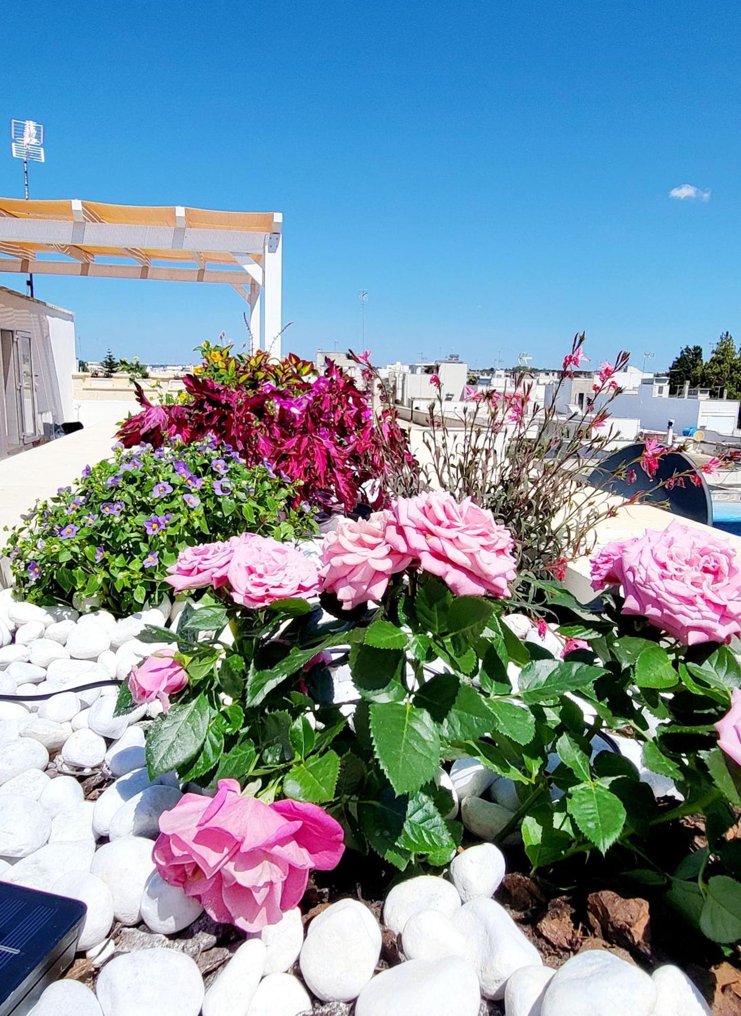 Aquamarina Rooms Порто-Чезарео Экстерьер фото